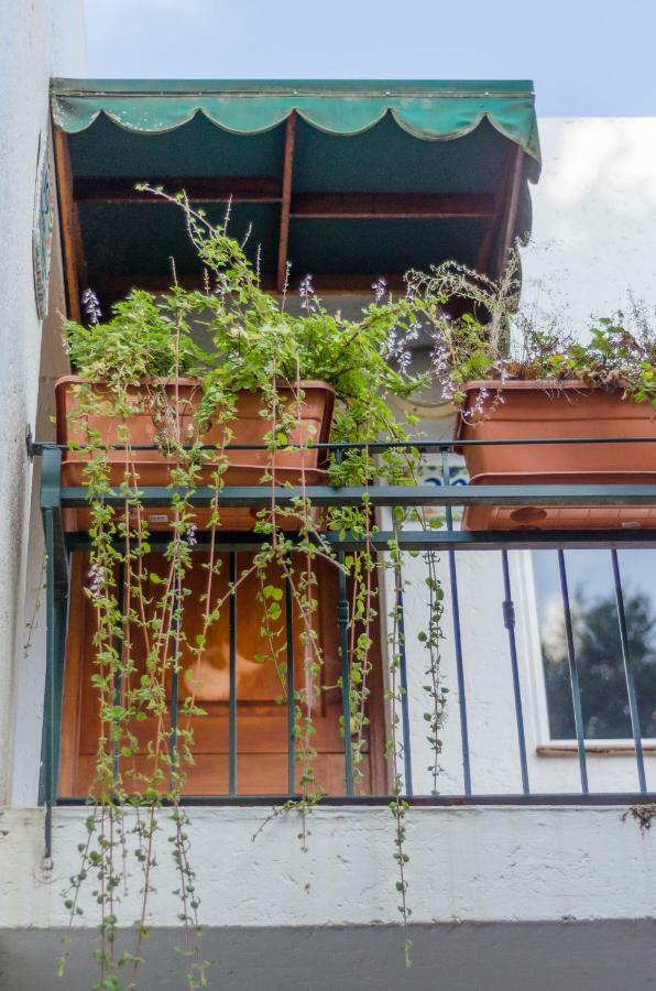 Garden Place Guest Houses Johannesburg Exterior photo