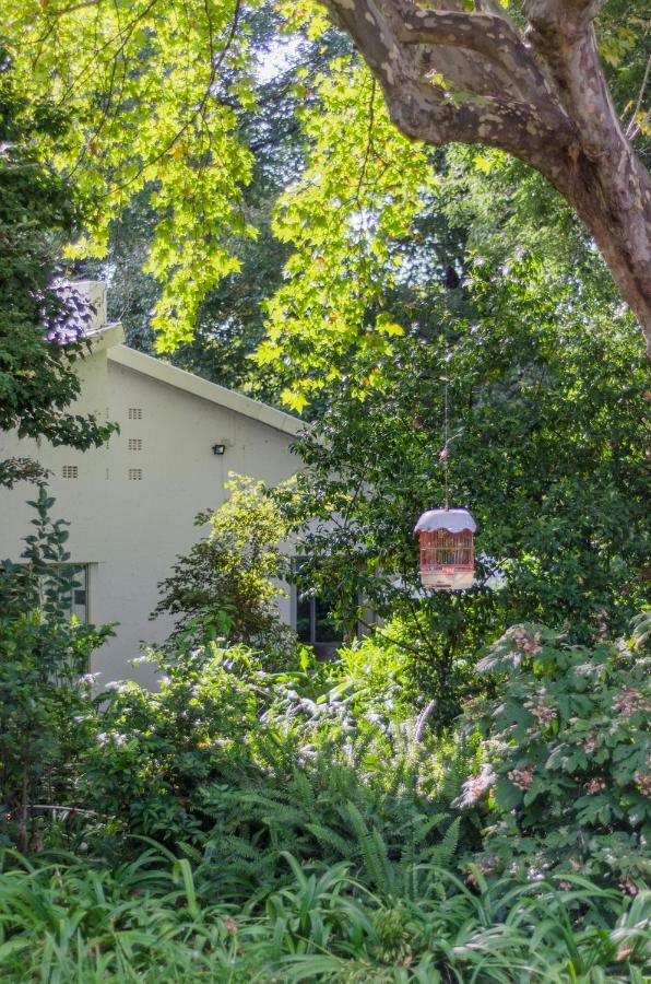 Garden Place Guest Houses Johannesburg Exterior photo